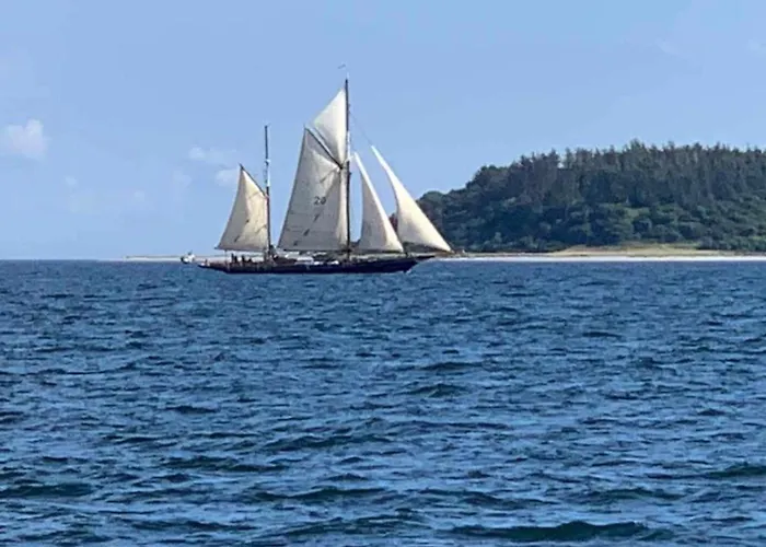 شقة Lieblingsplatz -wunderschoen, Mit Blick Auf Foerde هاريسلي